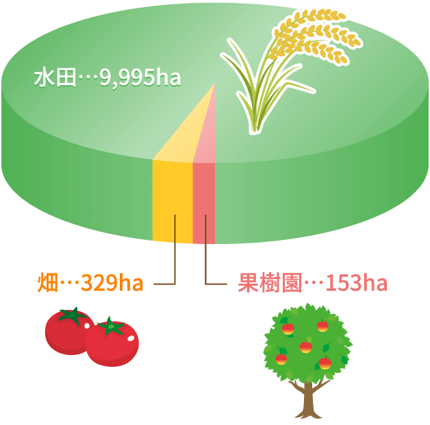 富山市の経営耕地面積グラフ