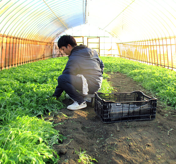 農業人とやま 先輩就農者紹介